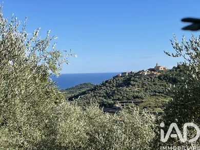 Land in Cipressa