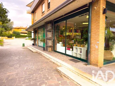 Business premises in Assisi