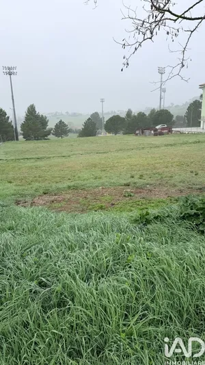 Land in Montegranaro