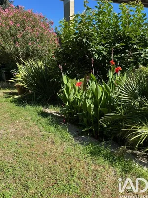 House in Celle Ligure