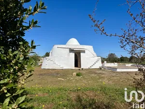 Horses property in Carovigno