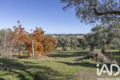 House in Mogliano