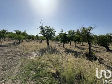 Terreno in Avola