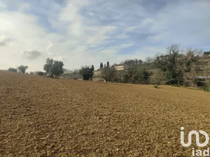 Farm land in Montefiore dell'Aso