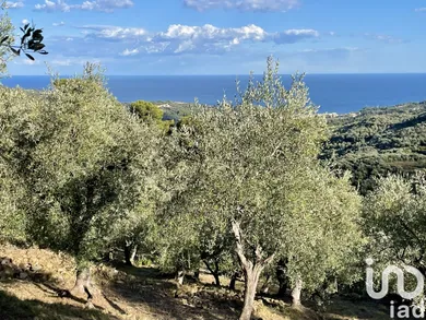 Farm land in Cipressa