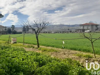 Terreno in Notaresco