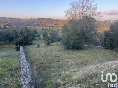 Terreno in Cisternino