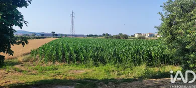 Terreno in Pineto