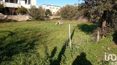 Terreno in Telti