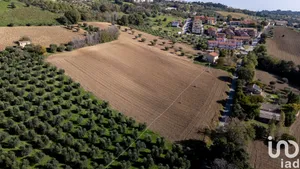 Land in Montecosaro