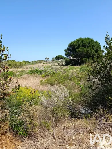 Terreno agricolo in Sorso