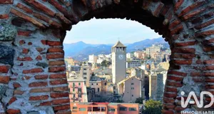 Attività locale in Savona