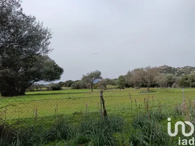 Land in Telti