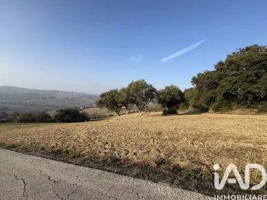 Terreno agricolo in Montecosaro