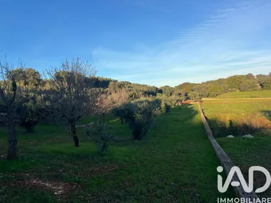 Terreno agricolo in Ostuni