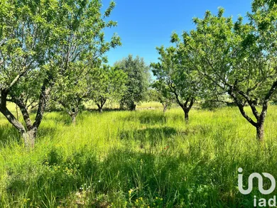 Terreno in Ostuni