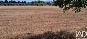 Terreno in Sorano