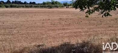 Terreno in Sorano