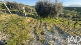 Rustico in Acquaviva Picena