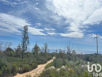 Land in Tortolì