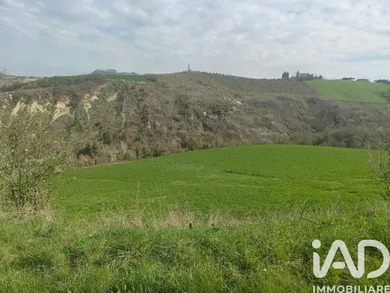 Terreno in Offida