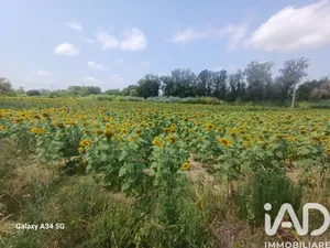 Terreno in Senigallia