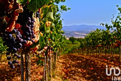 Farm land in Cavriana
