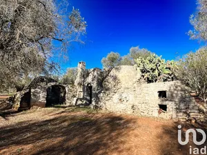 Tenuta equestre in Francavilla Fontana