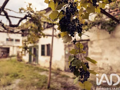 House in Saliceto