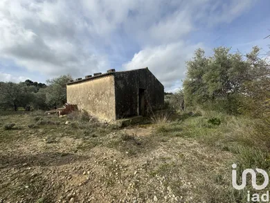 Farm land in Noto