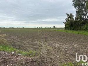 Land in Sant'Urbano