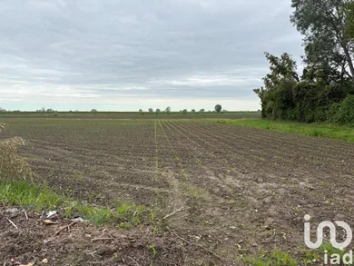 Land in Sant'Urbano