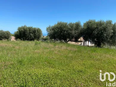 Land in Colonnella
