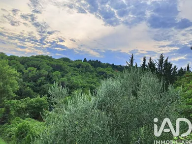 Terreno agricolo in Piancastagnaio