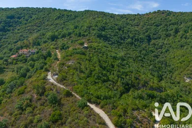 Terreno in Spotorno
