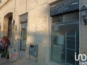 Pizzeria in Senigallia