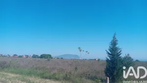 Terreno agricolo in Porto Recanati