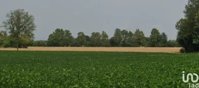 Terreno in Grisignano di Zocco