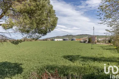 Terreno in Montelupone