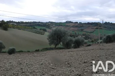 Building plot in Barchi