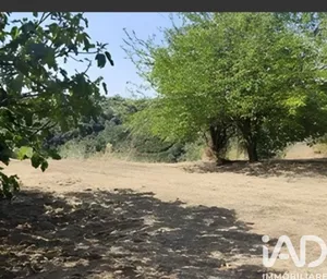 Terreno agricolo in Giulianova