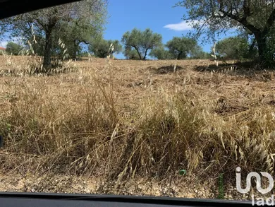 Land in Loreto Aprutino