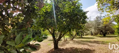 Land in Serra d'Aiello