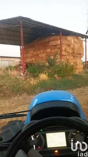 Land in Magliano in Toscana