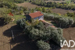 Terreno agricolo in Corridonia