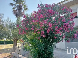 House in Fano