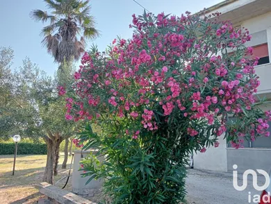 House in Fano