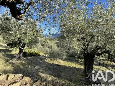 Land in Cipressa