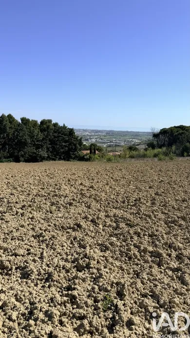 Terreno edificabile in Montegranaro