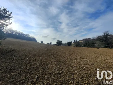 Terreno agricolo in Montefiore dell'Aso